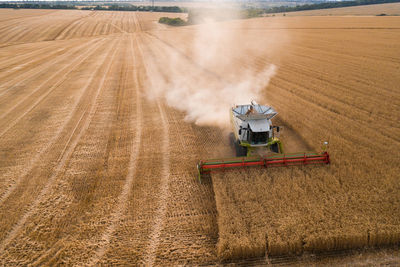 Scenic view of agricultural field
