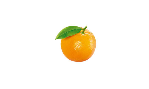 Close-up of orange fruit against white background