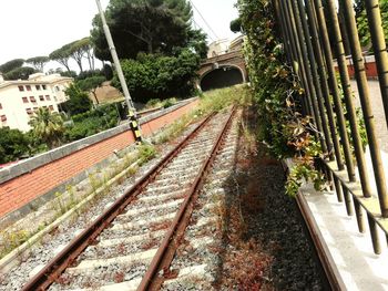 Railroad tracks amidst trees