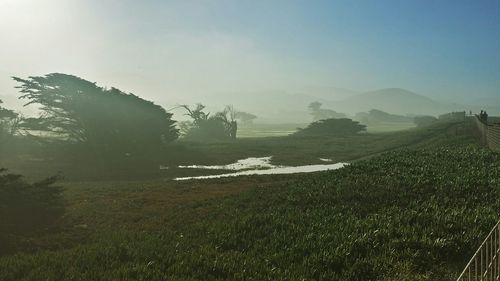 Scenic view of grassy field against sky during foggy weather