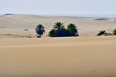 Scenic view of desert against sky