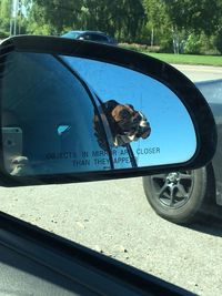 Reflection of man on side-view mirror of car