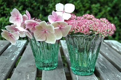 Close-up of pink flowers