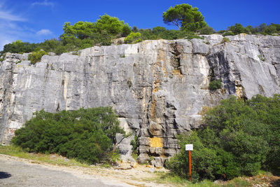 Plants growing on rocky mountain against sky