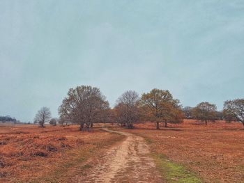 Field against sky