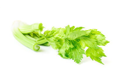 Close-up of vegetable over white background