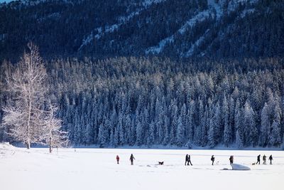 View of snow on lake during winter