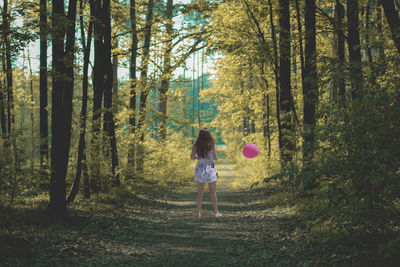 Rear view of woman standing amidst trees in forest