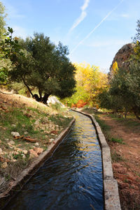 View of canal amidst trees against sky during autumn