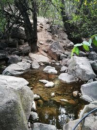 View of stream flowing through rocks