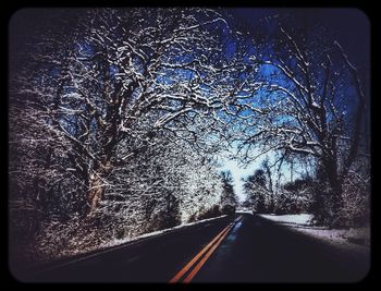 Road passing through forest
