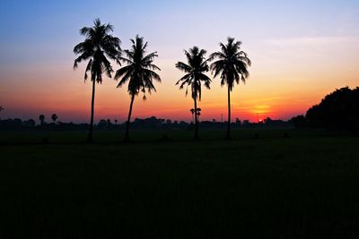 Silhouette palm trees on field against sky at sunset