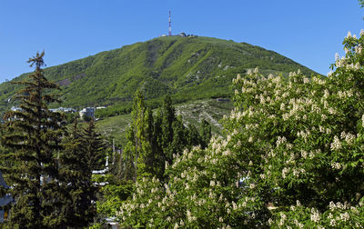 View of the majestic mount mashuk from pyatigorsk,northern caucasus,russia.