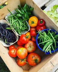 Box with various vegetables harvested in the garden, fresh green beans, basil, tomatoes,  peppers