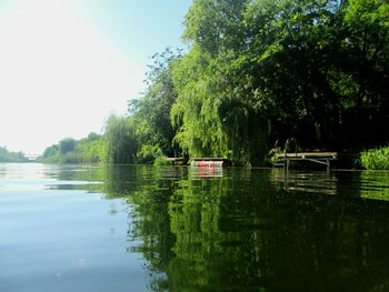 Scenic view of lake against trees