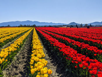 Scenic view of field against cloudy sky