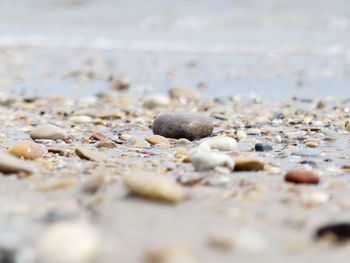 Close-up of stones on beach