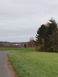 Trees growing on field against sky