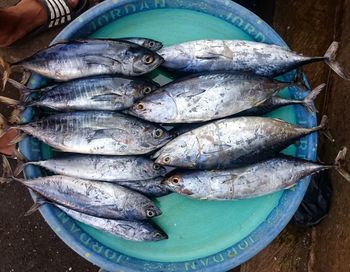 High angle view of fish for sale