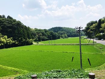 Scenic view of landscape against sky