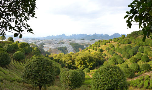 Panoramic view of landscape against sky