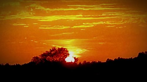 Silhouette trees on landscape against orange sky