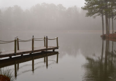 Morning fog on the pond and trees