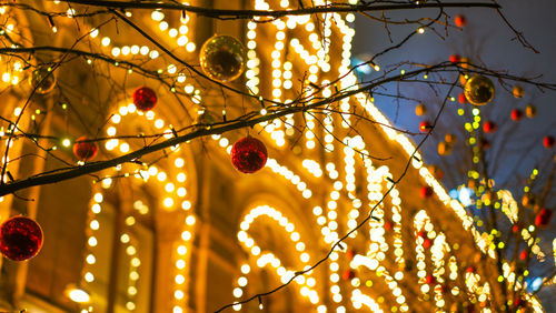 Low angle view of christmas lights hanging from tree
