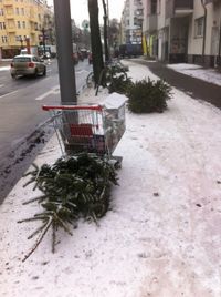 Close-up of tree trunk by street in city