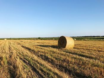 Hay bales on field against clear sky
