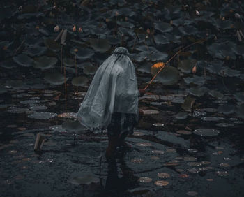 Rear view of a man walking in forest