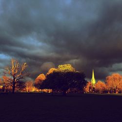 View of trees against cloudy sky