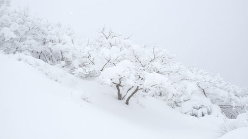 Scenic view of snow covered landscape against sky