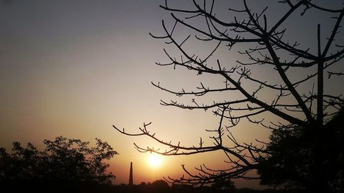 Silhouette tree against sky during sunset