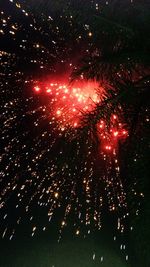 Low angle view of firework display at night