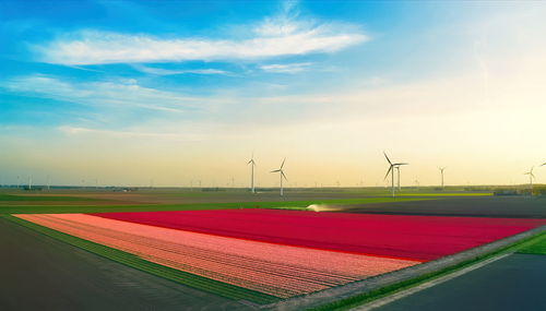 Scenic view of field against sky during sunset with wind turbine