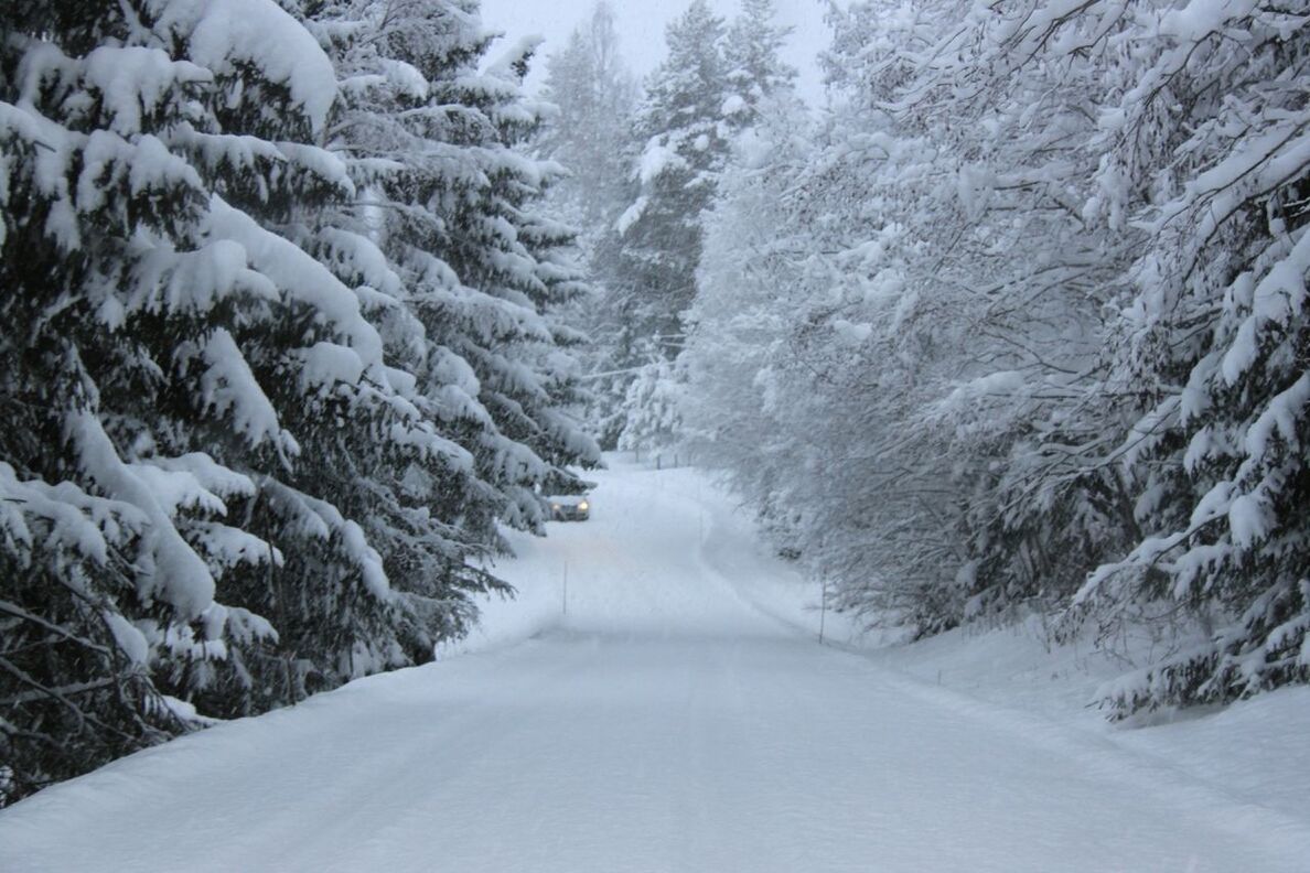 snow, winter, cold temperature, season, the way forward, weather, mountain, covering, diminishing perspective, tranquil scene, road, beauty in nature, tranquility, scenics, nature, transportation, vanishing point, snowcapped mountain, white color, landscape