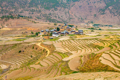 Scenic view of agricultural field