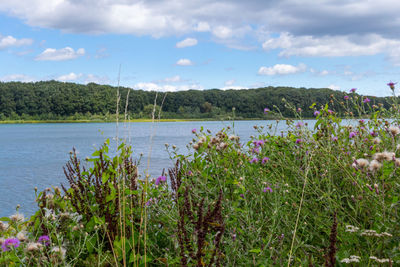 Scenic view of lake against sky