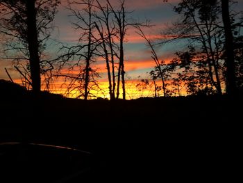 Silhouette trees against sky during sunset