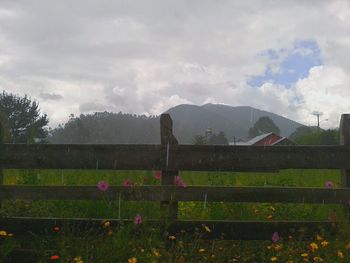 Scenic view of field against cloudy sky