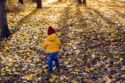 Boy in a yellow jacket and a red knitted hat stands in the autumn forest