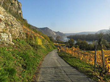 Footpath leading towards mountains against clear sky