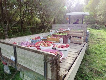 View of apples on field by trees