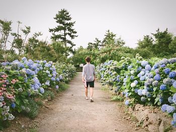 Rear view of person on flowers against trees