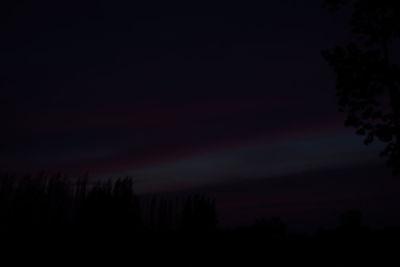 Low angle view of silhouette trees against sky at night