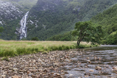 Scenic view of waterfall in forest