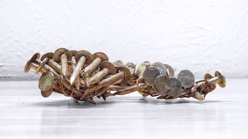 Close-up of mushrooms on table against white background