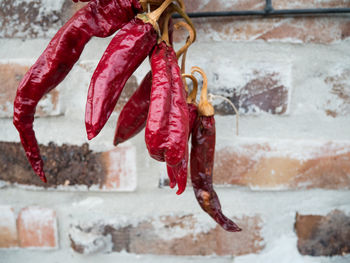 Close-up of red clothes hanging on brick wall