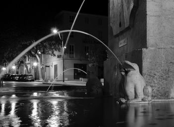 View of dog in illuminated building at night